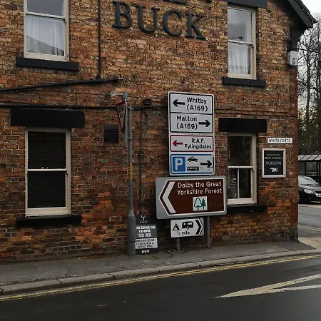 The Buck Hotel